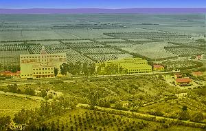RELIZANE 037